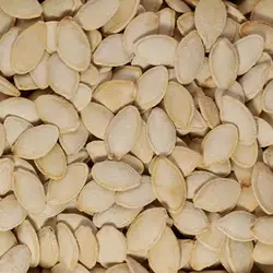 تخمه کدو گوشتی خام