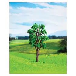 درخت اکالیپتوس اشل