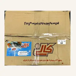 فیله ماهی بلک مارلین منجمد کالی