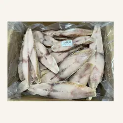 فیله ماهی گالیت نروژ منجمد کالی