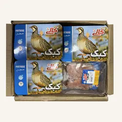 کبک منجمد کالی