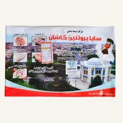 فیله مرغ منجمد سایا پروتئین کاشان