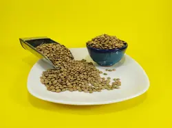 عدس اردبیل اعلا بسته 900 گرمی
