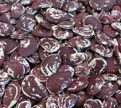 لوبیا عروس اعلا بسته 900 گرمی