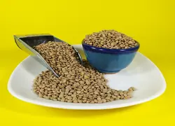 عدس ریز کانادایی بسته 900 گرمی