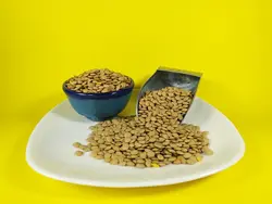 عدس درشت خارجی کانادایی بسته 900 گرمی