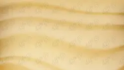 وکتور بافت شن ساحل موج دار | وان پیک - فایل گرافیکی پرمیوم (وکتور-PSD)