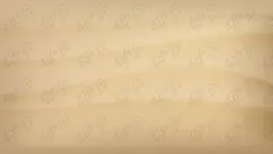 وکتور بافت شن ساحل | وان پیک - فایل گرافیکی پرمیوم (وکتور-PSD)