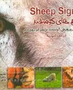 خرید کتاب پیام‌های گوسفند: راهنمای عملی پرورش گوسفند با تمرکز روی دام – انتشارات پادینا