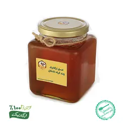 عسل ارگانیک شهد روان دیابتی کوهستان خلخال(۱کیلو)