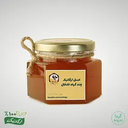 عسل طبیعی شهد دیابتی زنبورستان پلنگا (۲۵۰ گرم)