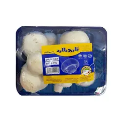 قارچ بسته‌بندی 400 گرمی