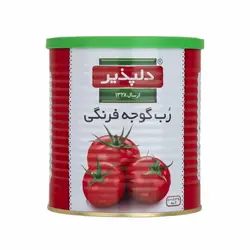 کنسرو رب گوجه فرنگی دلپذیر 800 گرمی