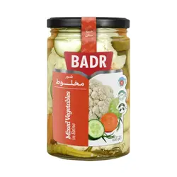 شور مخلوط بدر 630 گرمی