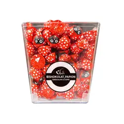 شکلات کفشدوزک کاکائویی شیری با کرم فندق الوان (elvan) فله ای 250 گرمی