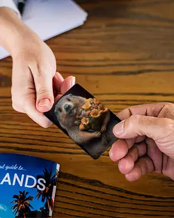 استیکر کارت موش خرما