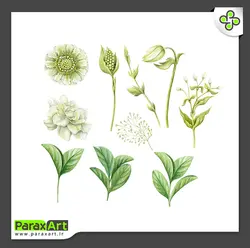 وکتور لایه باز گل و گیاه