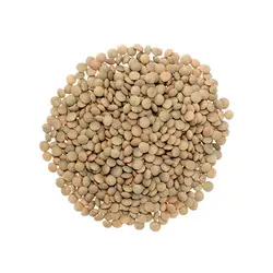 عدس محلی 1 کیلوگرم