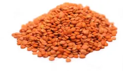 دال عدس 1 کیلوگرم