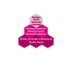 عطر دیزل اونلی بریو تاتو