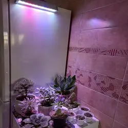 وال واشر رشد گیاه 12 وات