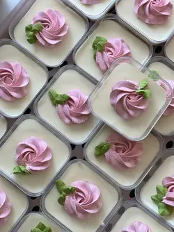 ظرف مربع 200cc تیرامیسو