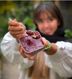 ظرف مربع 200cc تیرامیسو