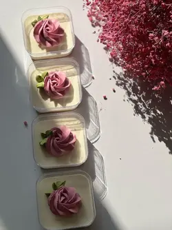 ظرف مربع 200cc تیرامیسو