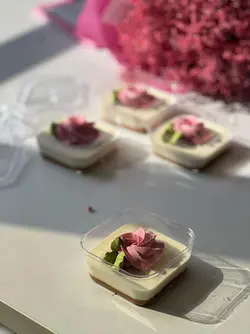 ظرف مربع 200cc تیرامیسو