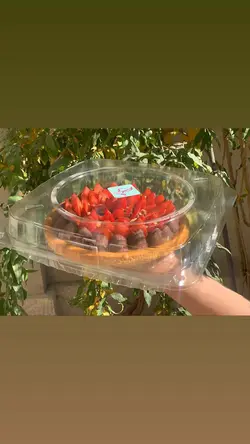 جعبه شیرینی بزرگ