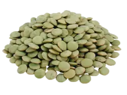 PNG عدس سبز – Green Lentil PNG