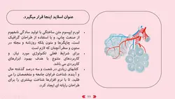 قالب پاورپوینت دستگاه تنفسی