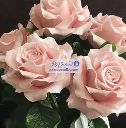 کاتر و وینر گل رز اشکی | کاتر 5عددی