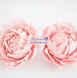 کاتر و وینر گل پیونی | کاتر 3عددی