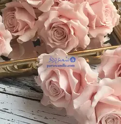 کاتر و وینر گل رز بزرگ | کاتر 3عددی