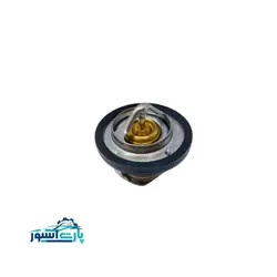 ترموستات ام وی ام 110 شرکتی