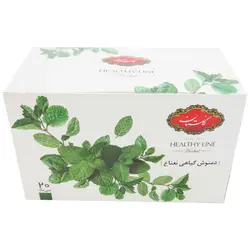 دمنوش کیسه ای گیاهی نعناع گلستان 20 عددی