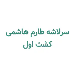 سرلاشه طارم هاشمی کشت اول – 10 کیلوگرم