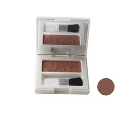 قیمت و خرید رژ گونه آلستر شماره 04 وزن 6 گرم - پرفیکا