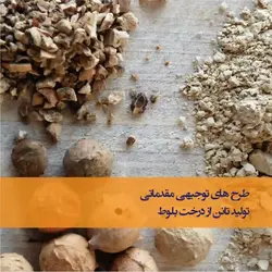 طرح توجیهی مقدماتی تولید تانن از بلوط (رایگان)