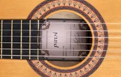 گیتار کلاسیک پارسی مدل M2