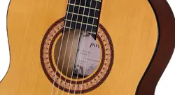 گیتار کلاسیک پارسی مدل M2