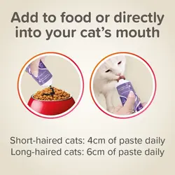 خمیر مالت گربه بیفار 100 گرمی Beaphar cat malt