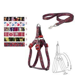 قلاده کتفی مدل ریتم | سایز 1 | همراه با لید - پت لند