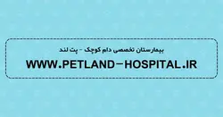 قلاده کتفی شبرنگ | سایز 4 | همراه با لید - پت لند