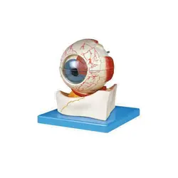 مولاژ چشم 5 برابر 7 قسمتی