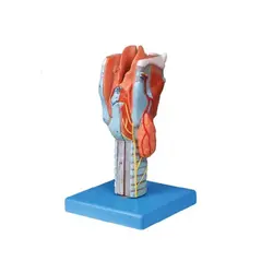 مولاژ حنجره