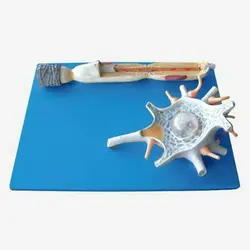 مولاژ سلول عصبی