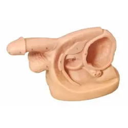 مولاژ سوند گذاری مرد