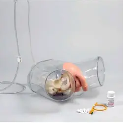 مولاژ شفاف سوند گذاری آقایان